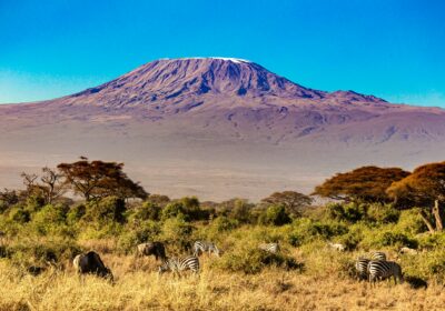 7-Day “Great Rift & Plains” Signature Safari