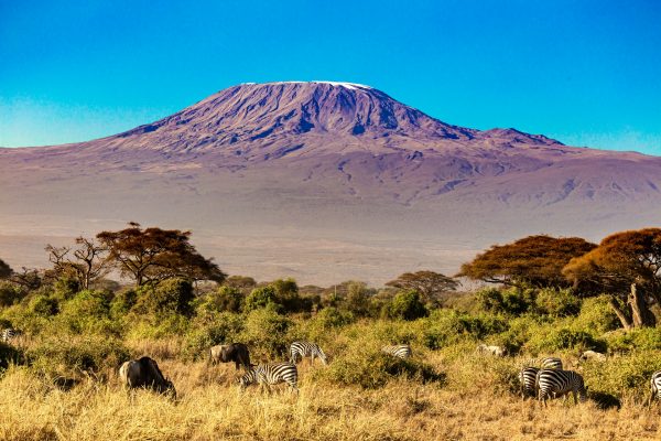 7-Day “Great Rift & Plains” Signature Safari