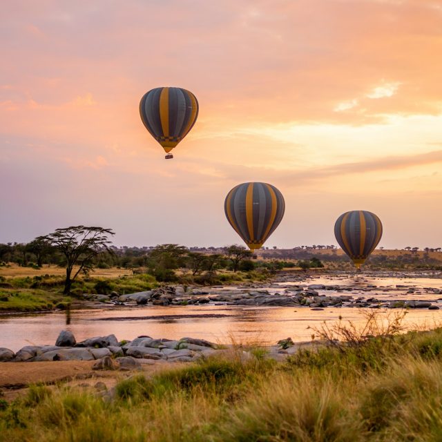 6 Days Tarangire-Lake Manyara-Serengeti-Ngorongoro