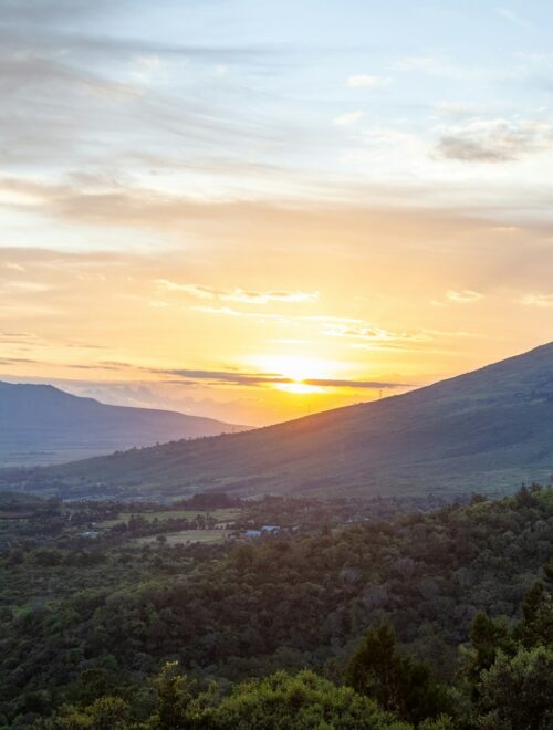 Mt. Longonot Trekking & Lake Naivasha Safari (Full Day)